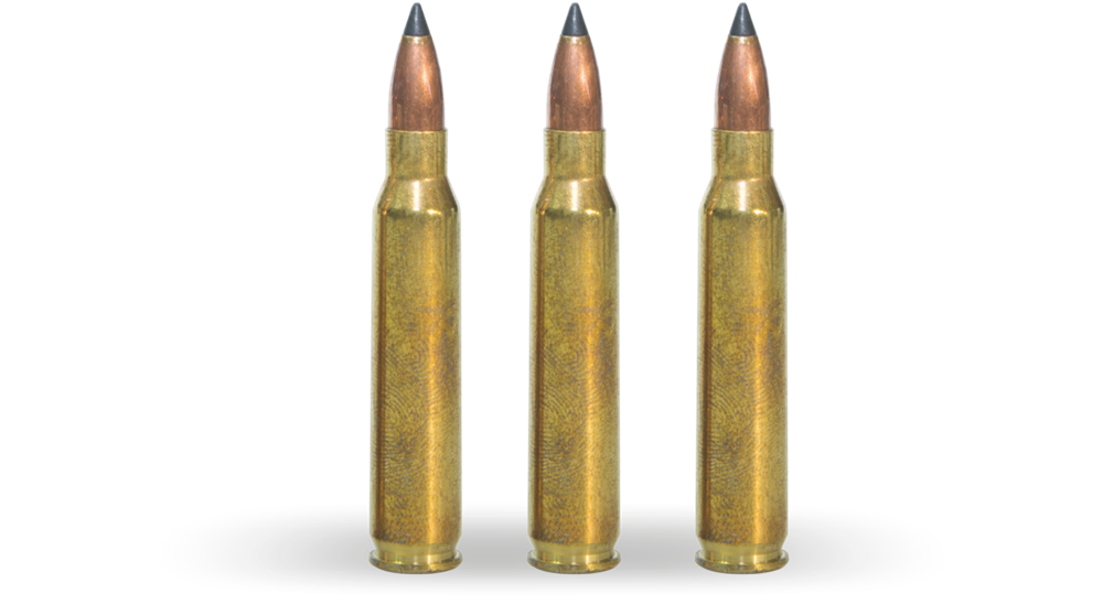 5.56 mm x 45 Polimer Tip Fişek