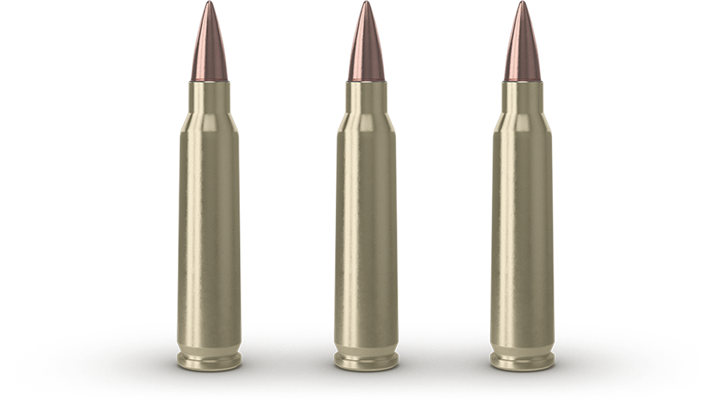 5.56 mm x 45 Fişek (Normal) (SS109)