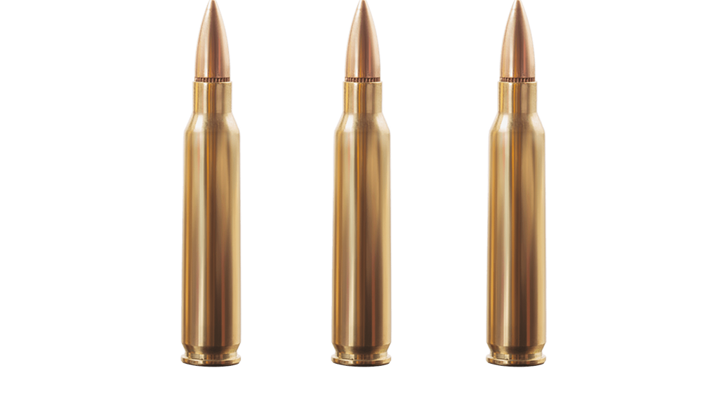 5.56 mm x 45 Fişek (M193)