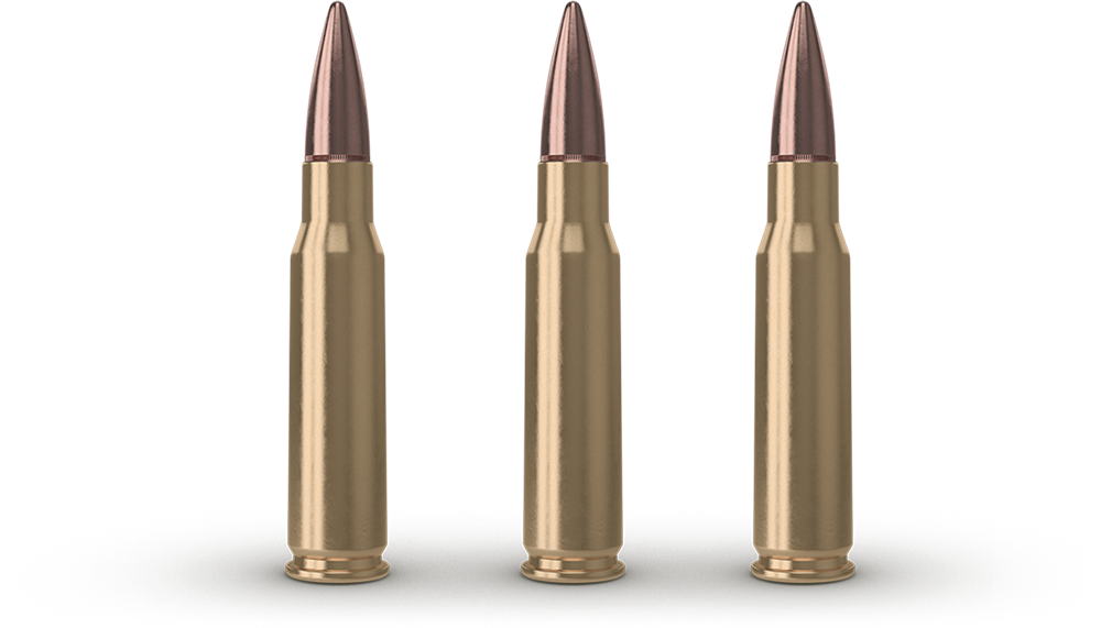 7.62mm x 51 Normal Fişek (M80)